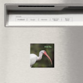 White Ibis Magnet (In Situ (Geschirrspüler))