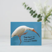 White Ibis mit einer Itch Postkarte (Stehend Vorderseite)