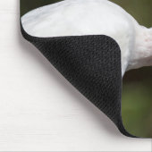 White Ibis Mousepad (Ecke)