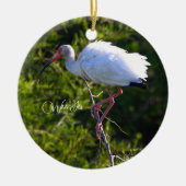 White Ibis Ornament (Vorne)