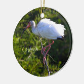 White Ibis Ornament (Links)