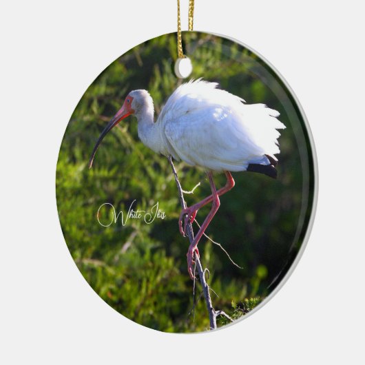 White Ibis Ornament (Links)