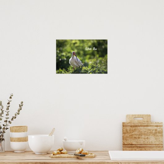 White Ibis Poster (Küche)