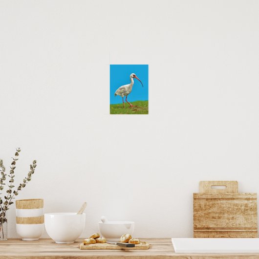 White Ibis Print Poster (Küche)