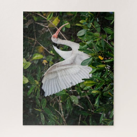 White Ibis Puzzle (Vertikal)