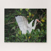 White Ibis Puzzle (Horizontal)