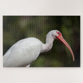 White Ibis Puzzle (Horizontal)