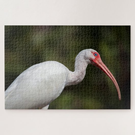 White Ibis Puzzle (Horizontal)