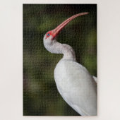 White Ibis Puzzle (Vertikal)