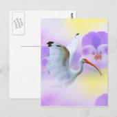 White Ibis und Stiefmütterchen Postcard Postkarte (Vorne/Hinten)