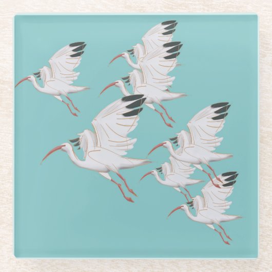 White Ibis Untersetzer (Vorderseite)