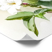 White Impatients Blume Art Print Poster (Ecke)