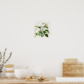 White Impatients Blume Art Print Poster (Küche)