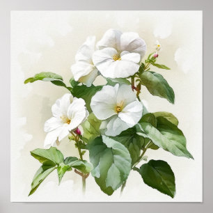 White Impatients Blume Art Print Poster