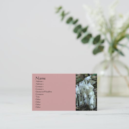 White Indian Pipe Wildblumen Business Card Visitenkarte (Stehend Vorderseite)