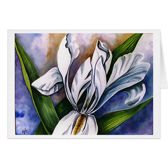 White Iris 2 von Barbara Beck-Azar (Vorderseite (Horizontal))
