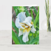 White Iris Blume Art Garden Karte (Vorderseite)