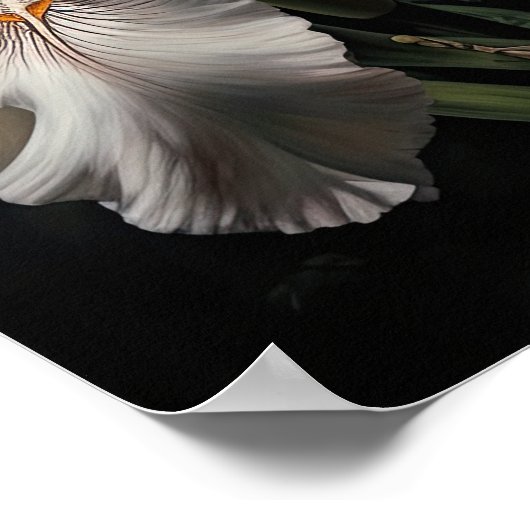 White Iris Blume Art Print Poster (Ecke)