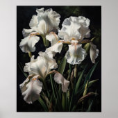 White Iris Blume Art Print Poster (Vorne)