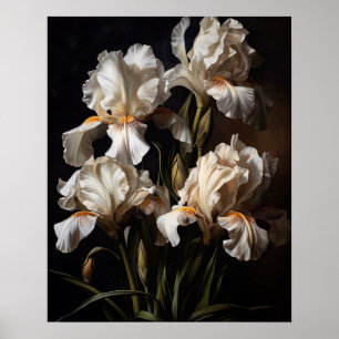 White Iris Blume Art Print Poster