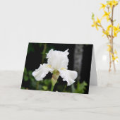 White Iris Blume Grußkarte (Leere Innenseite) Karte (Gelbe Blume)