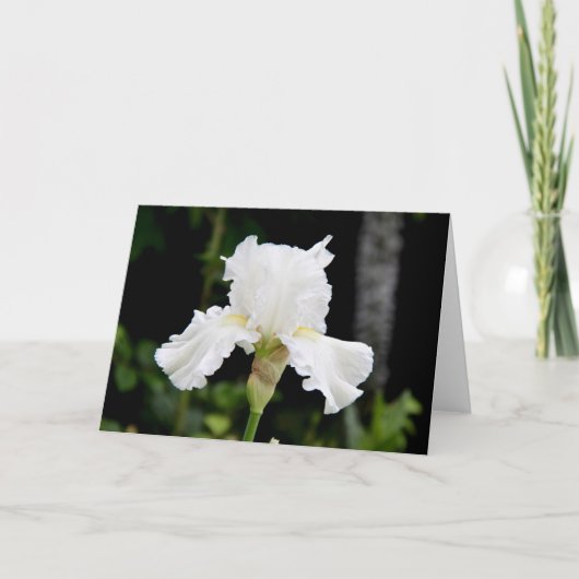 White Iris Blume Grußkarte (Leere Innenseite) Karte (Vorderseite)