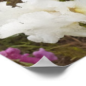 White Iris Irises Blumengarten Poster (Ecke)