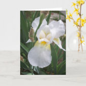 White Iris Karte (Gelbe Blume)