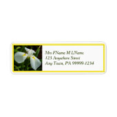 White Iris Label (Vorne)