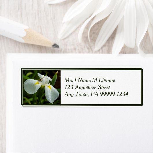 White Iris Label (Insitu)