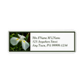 White Iris Label (Vorne)