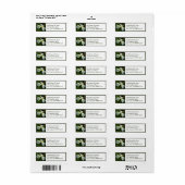 White Iris Label (Vorne)