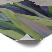 White Iris Poster (Ecke)