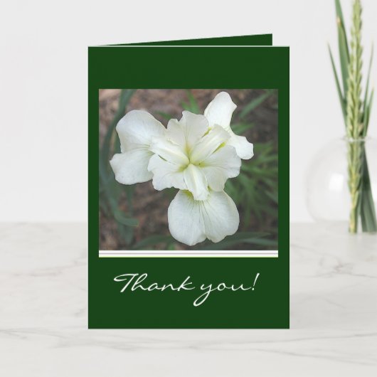 White Iris Thank you card Dankeskarte (Vorderseite)