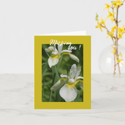 White Iris - Vermisste Karte (Gelbe Blume)