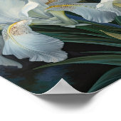 White Irische Blume Art Print Poster (Ecke)