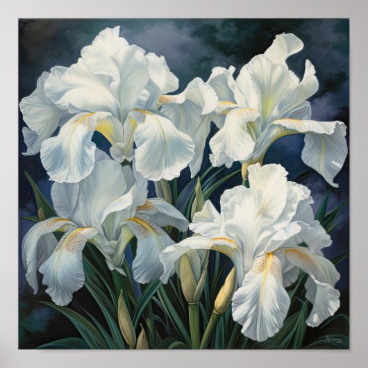 White Irische Blume Art Print Poster (Vorne)