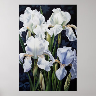 White Irische Blume Art Print Poster