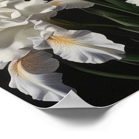 White Irische Blume Art Print Poster (Ecke)