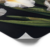 White Irische Blume Art Print Poster (Ecke)