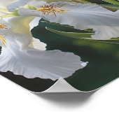White Irische Blume Art Print Poster (Ecke)