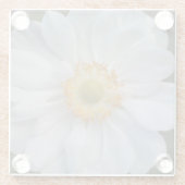 White Japanese Anemone Floral Glasuntersetzer (Rückseite)