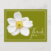 White Japanese Anemone Green Background Vielen Dan Postkarte (Vorderseite)