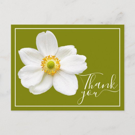 White Japanese Anemone Green Background Vielen Dan Postkarte (Vorderseite)