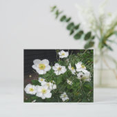 White Japanese Anemones DIY Postcard Postkarte (Stehend Vorderseite)