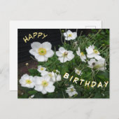 White Japanese Anemones Happy Birthday Postcard Postkarte (Vorne/Hinten)