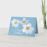 White Japanese Anemones Sky Blue Color Background
