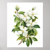 White Jasmine Blume Art Print Poster (Vorne)