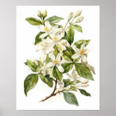 White Jasmine Blume Art Print Poster (Vorne)