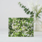 White Jasmine-Blume Postkarte (Stehend Vorderseite)